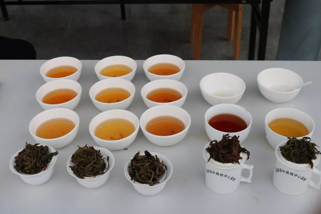 首屆廣東省評(píng)茶員技能大賽圓滿落幕，東方國(guó)際茶都飄香引才